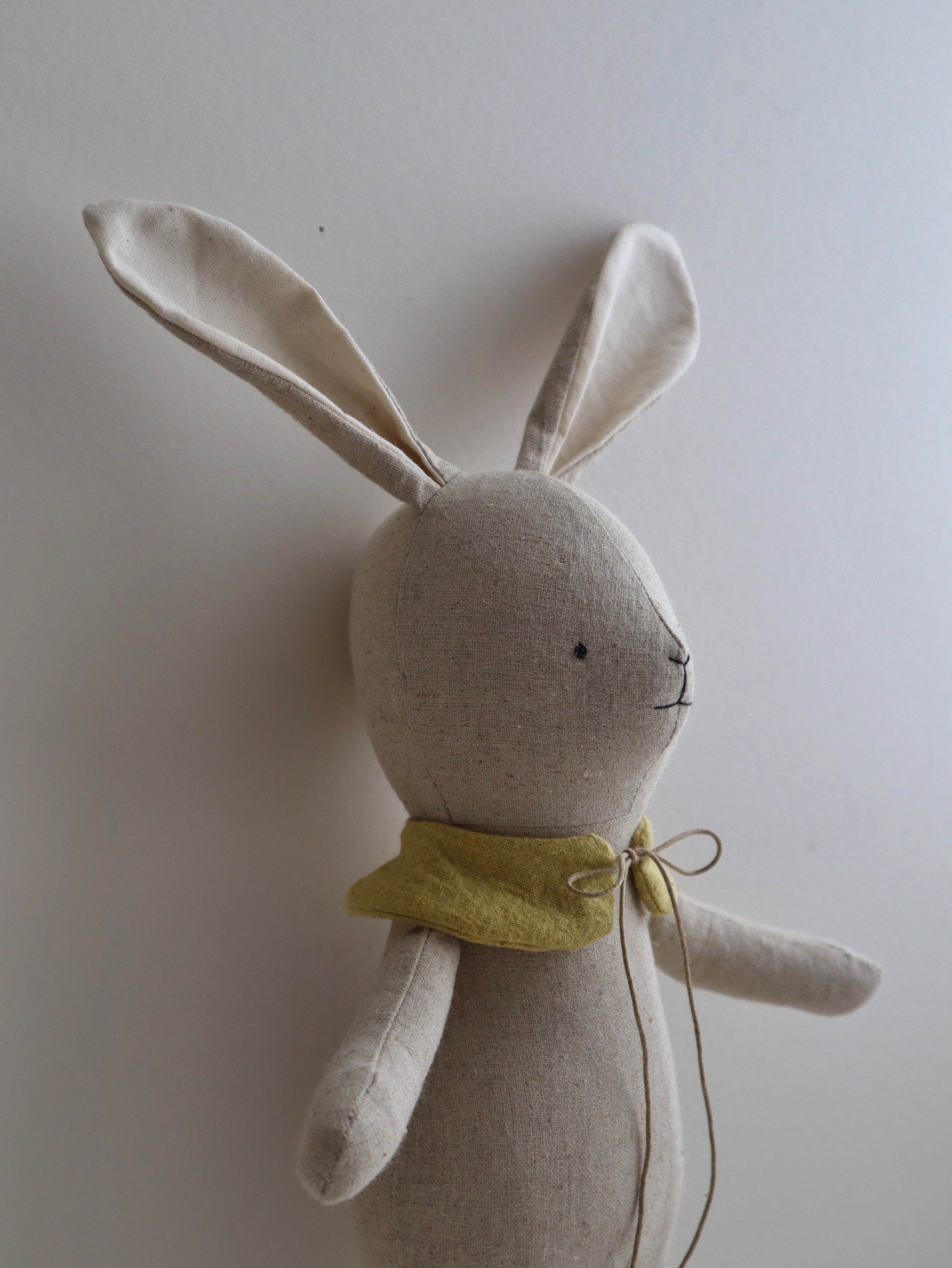 Simple Bunny